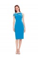 Sleeveless Mermaid Formal Dress